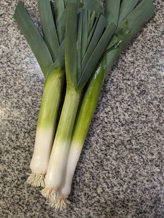 Leeks2024.jpg