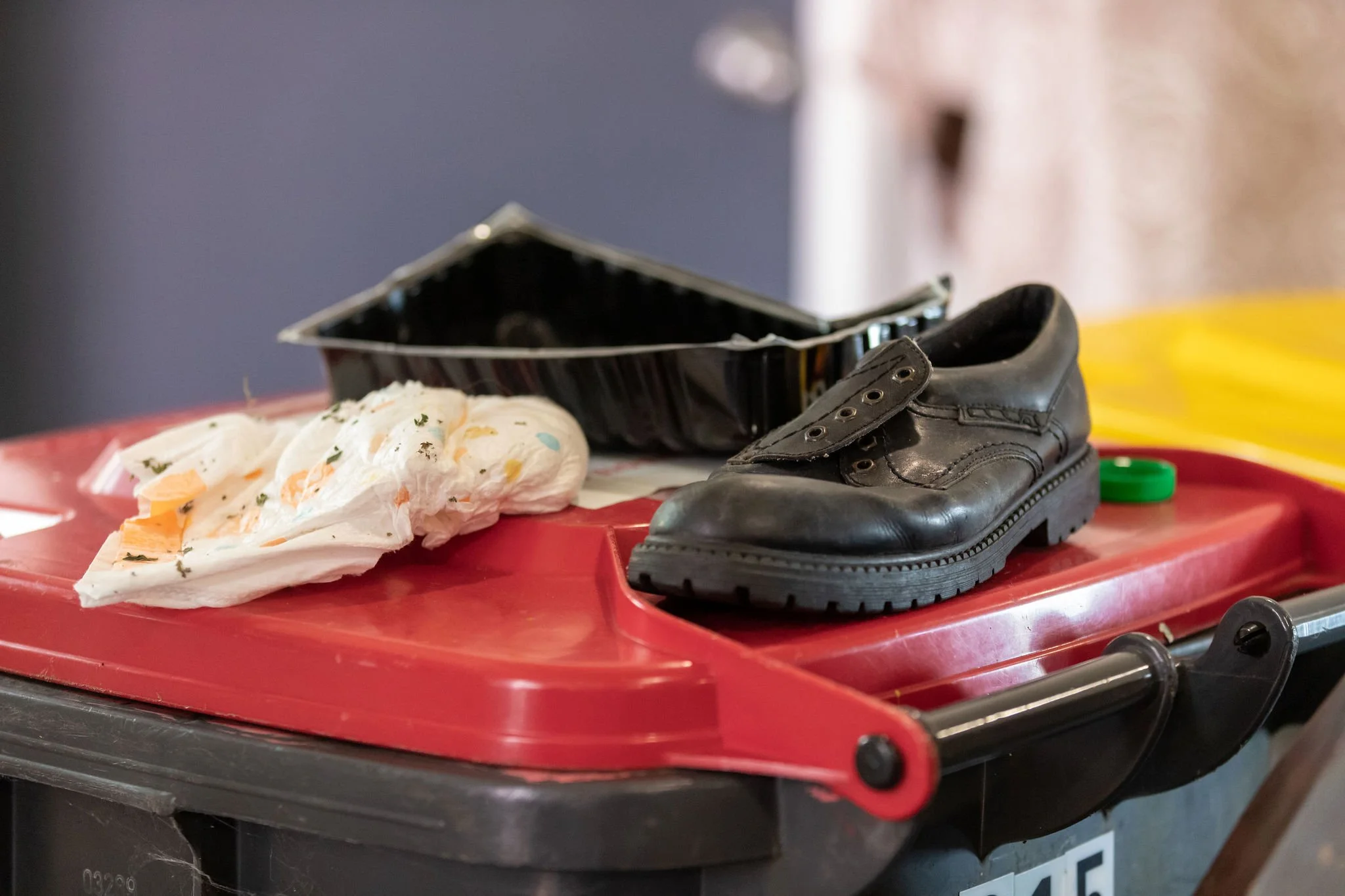 Where does it go-Waste Sort