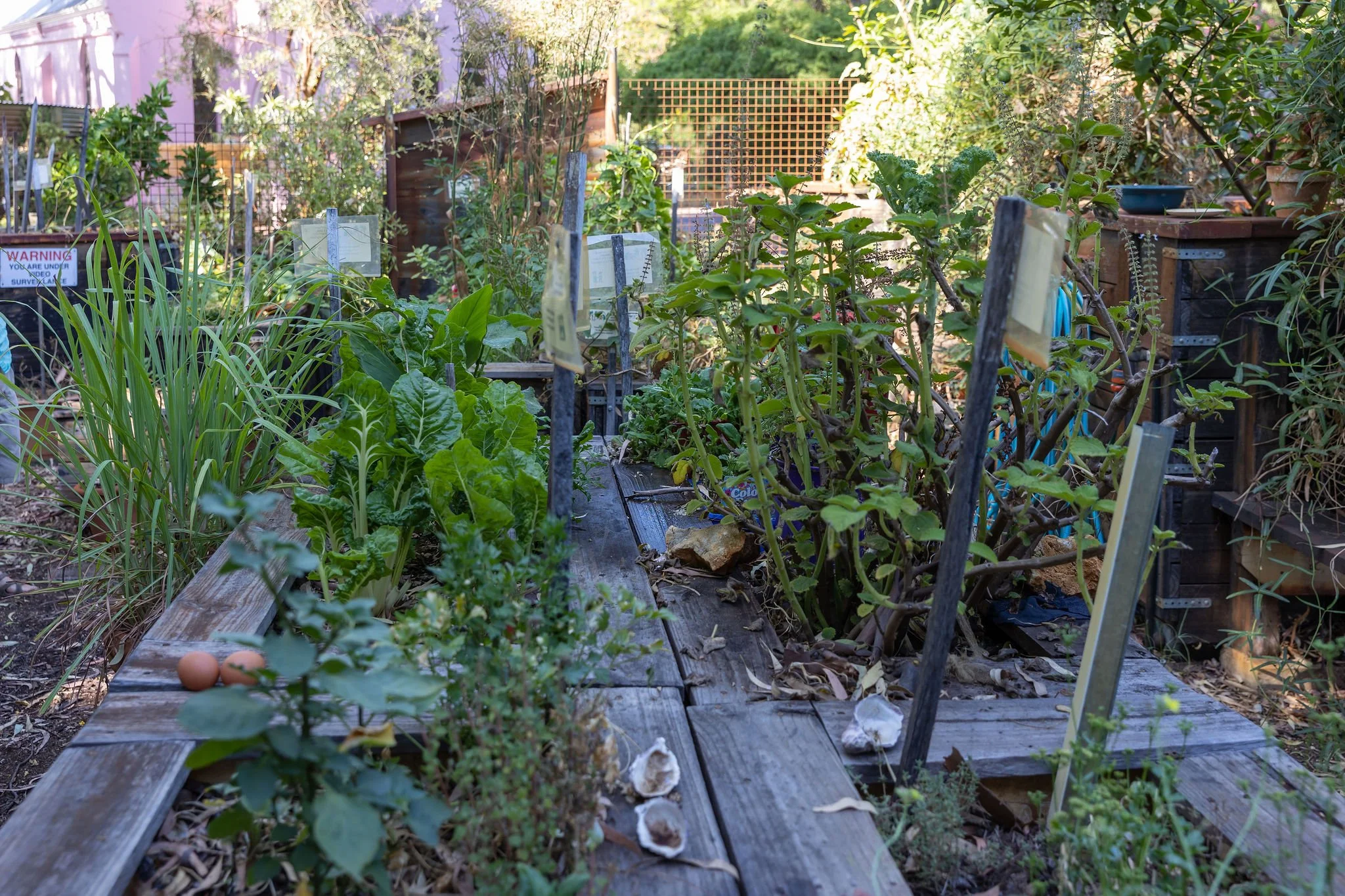 Gardening in Small Spaces