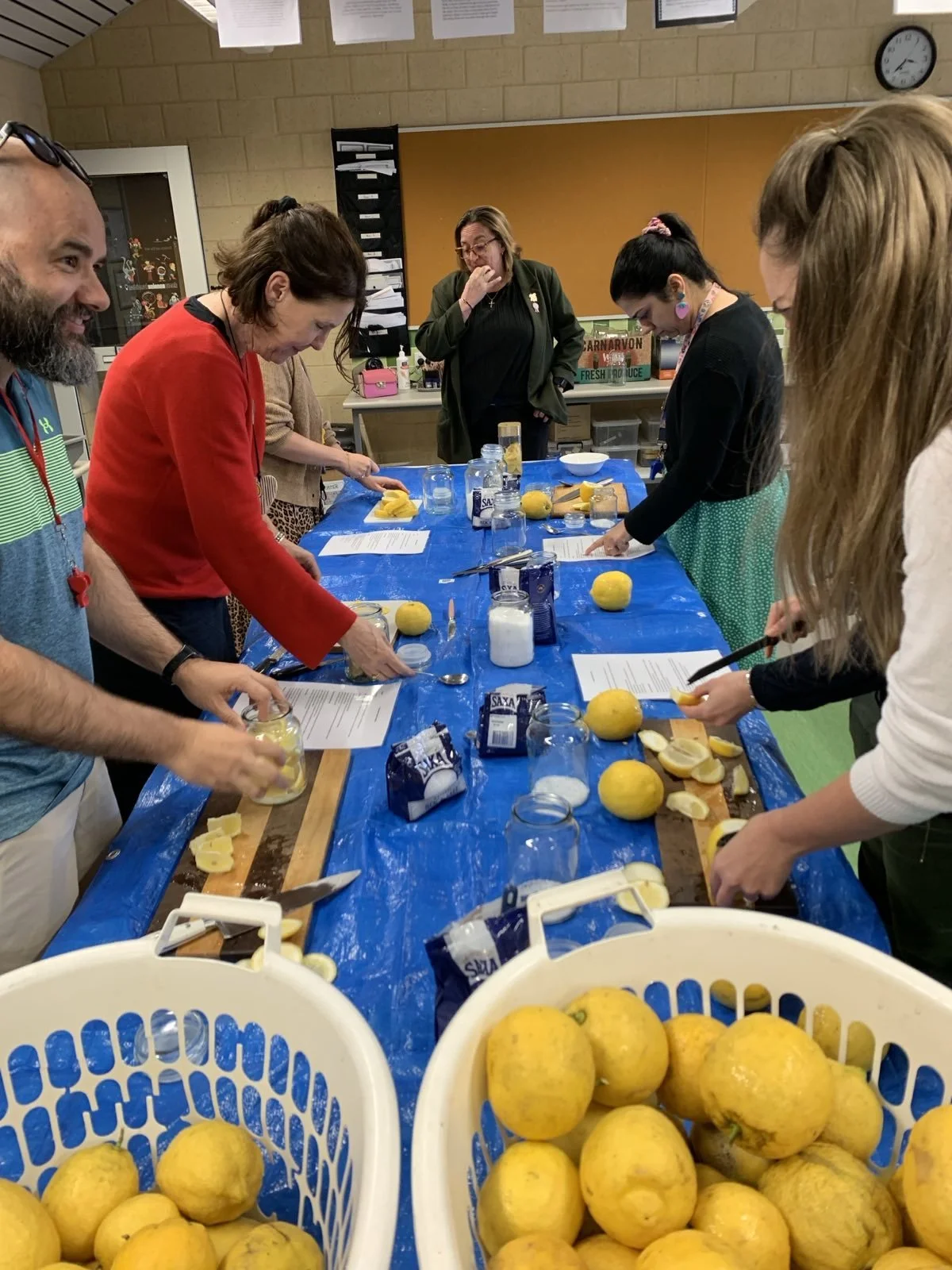 Plastic Free Living