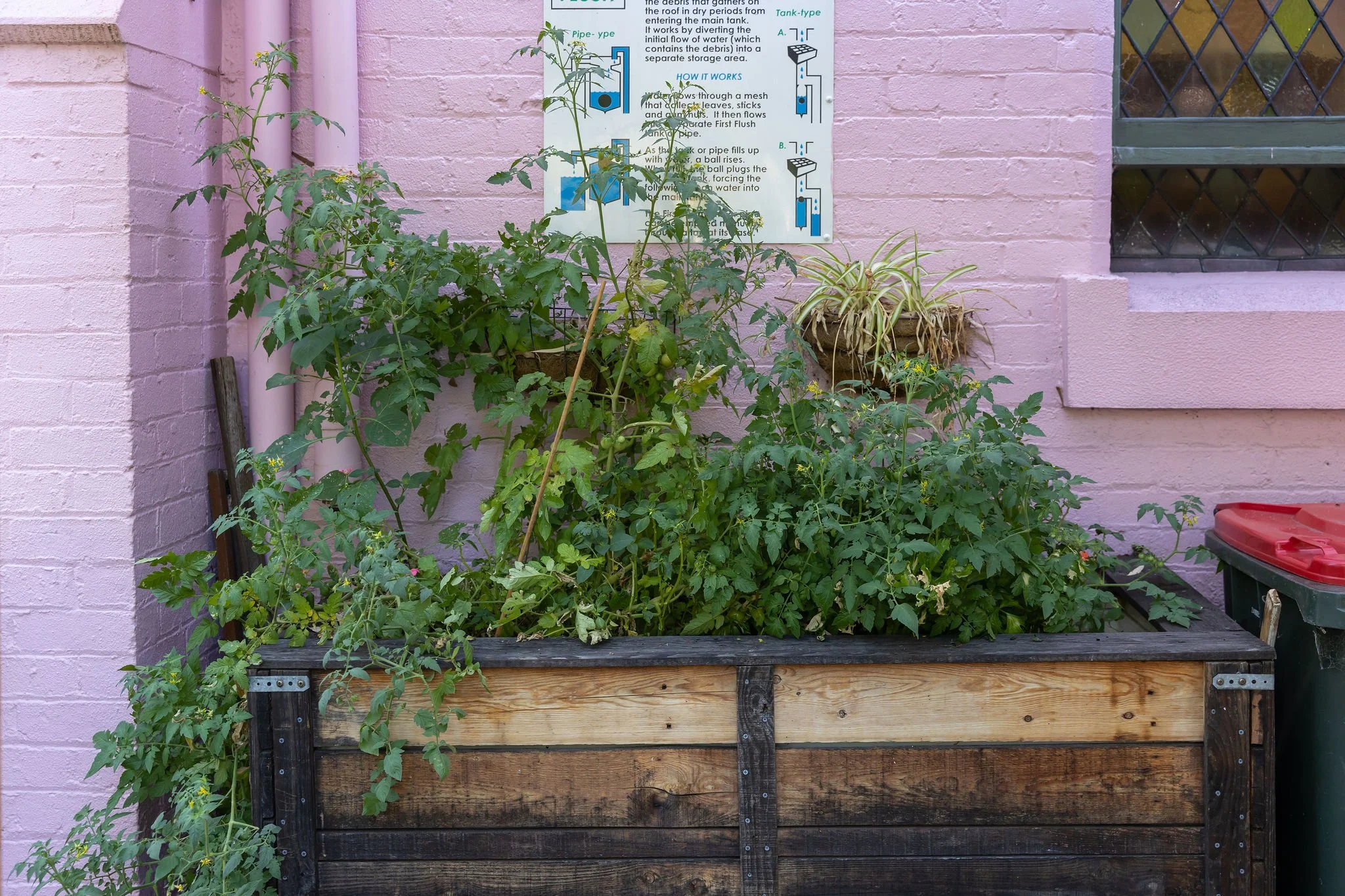 Gardening in Small Spaces