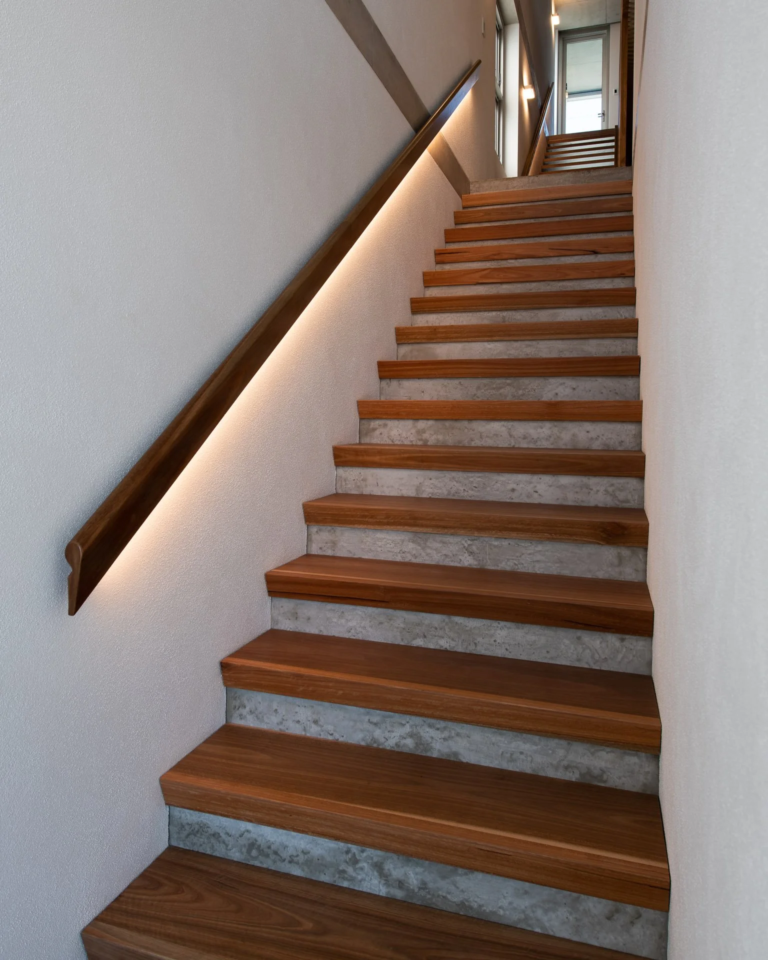 446w26.jpg