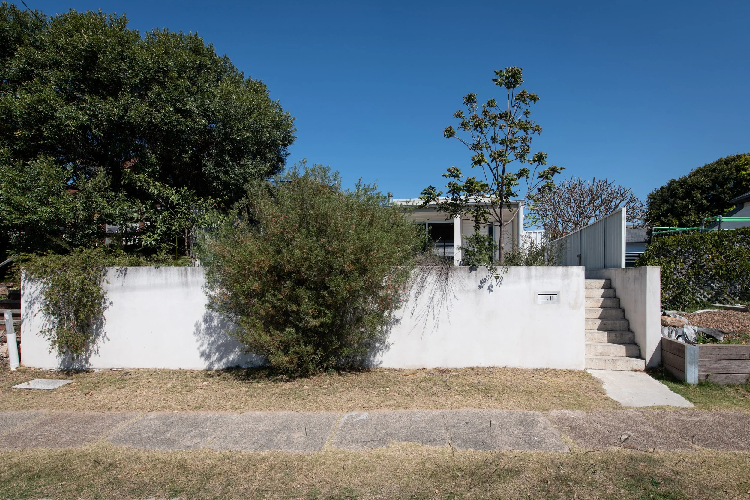 577w1.jpg