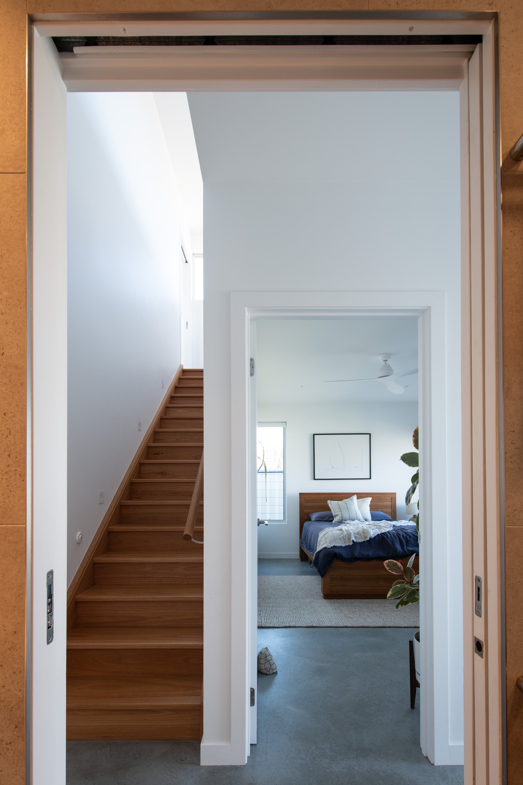 577w25.jpg