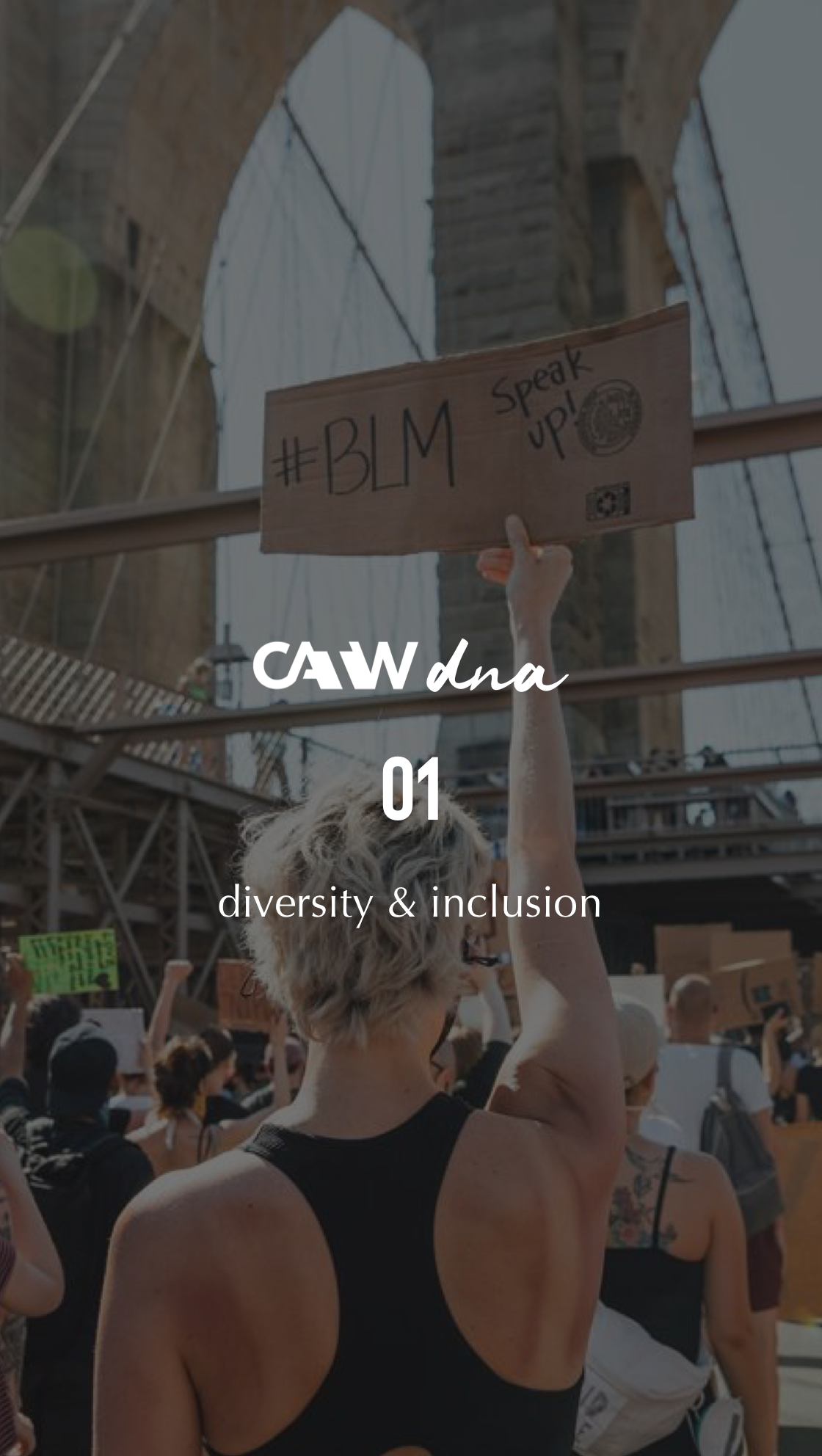 defining diversity &amp; inclusion
