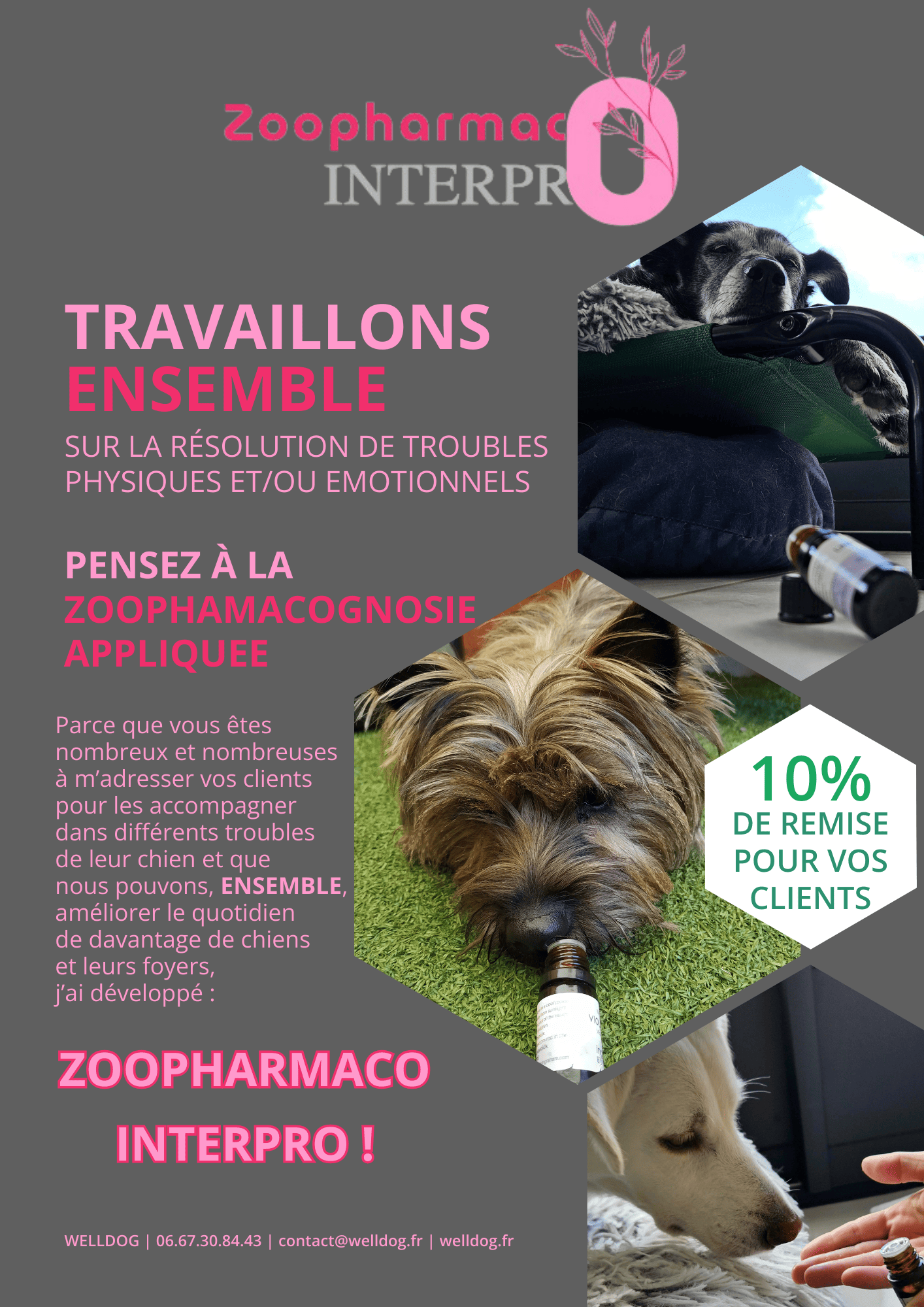 zoopharmacognosie_appliquee_zoopharmacointerpro_coaching_accompagnement_1.png