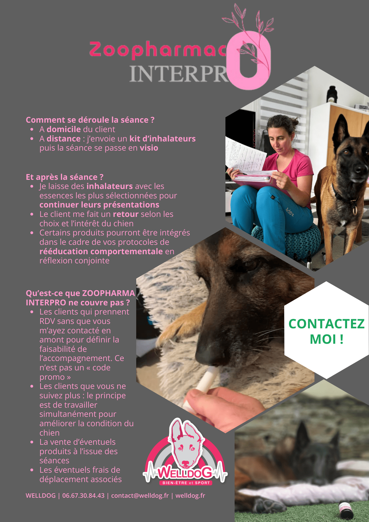 zoopharmacognosie_appliquee_zoopharmacointerpro_coaching_accompagnement_3.png