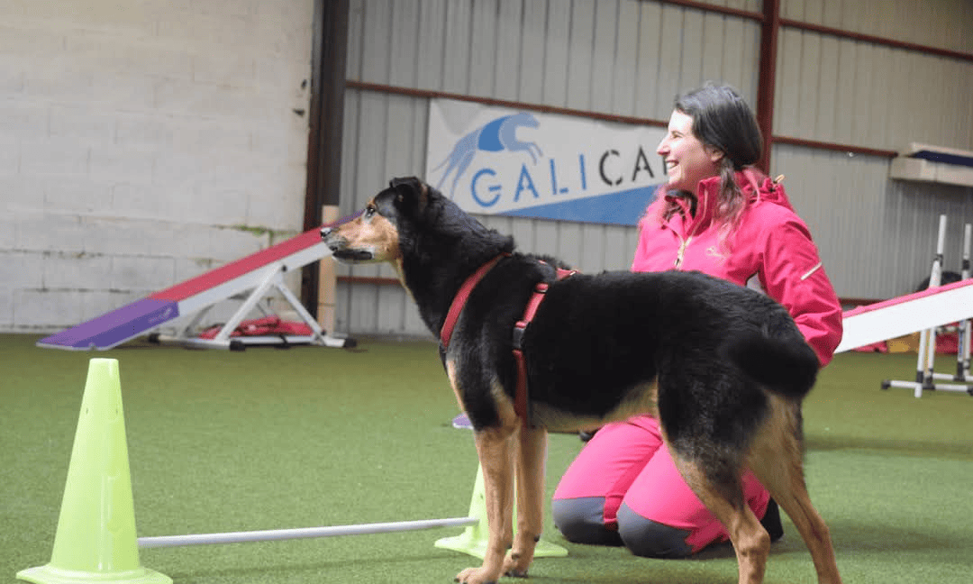axelle_chien_presentation_contact.png