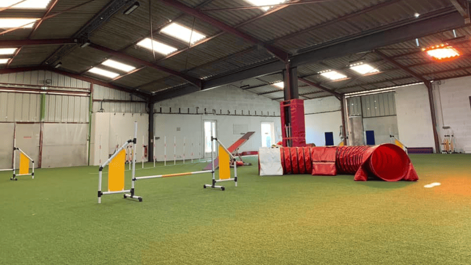 agility_hoopers_dog_in_training_salle_nantes.png