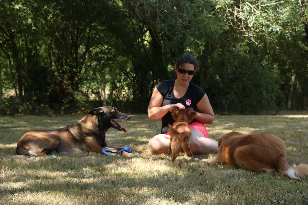 acceuil_welldog_axelle_averty_bien_etre_sport_canin2.png