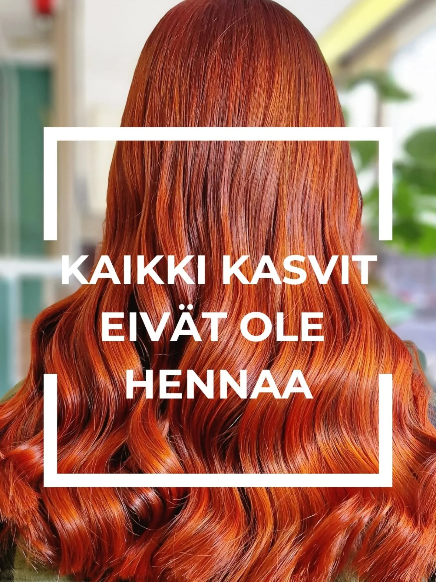 Henna on vain yksi pigmentti kasvien joukossa 🌿

Edelleen kasviv&auml;rien yhteydess&auml; kuulee puhuttavan pelk&auml;st&auml; hiusten hennauksesta tai "mustasta hennasta" , jota ei ole olemassakaan. Jos pelk&auml;st&auml;&auml;n hennaisi