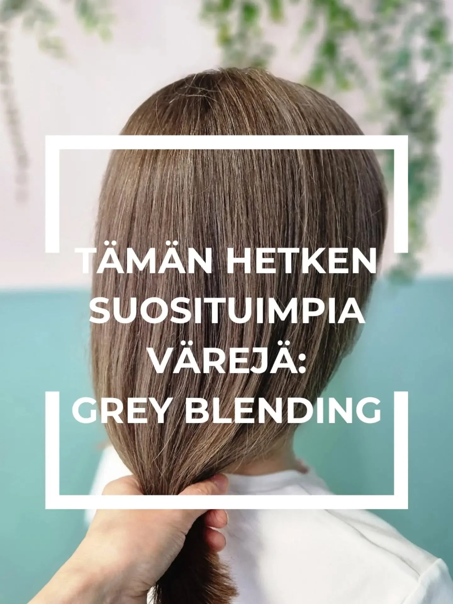GREY BLENDING KASVIV&Auml;REILL&Auml; 🤎

Grey blending on t&auml;ll&auml; hetkell&auml; yksi hiusmaailman suosituimmista ilmi&ouml;ist&auml; ja olen tehnyt n&auml;it&auml; v&auml;rj&auml;yksi&auml; viime aikoina paljon 🤩 

Ideana ei ole peitt&auml;