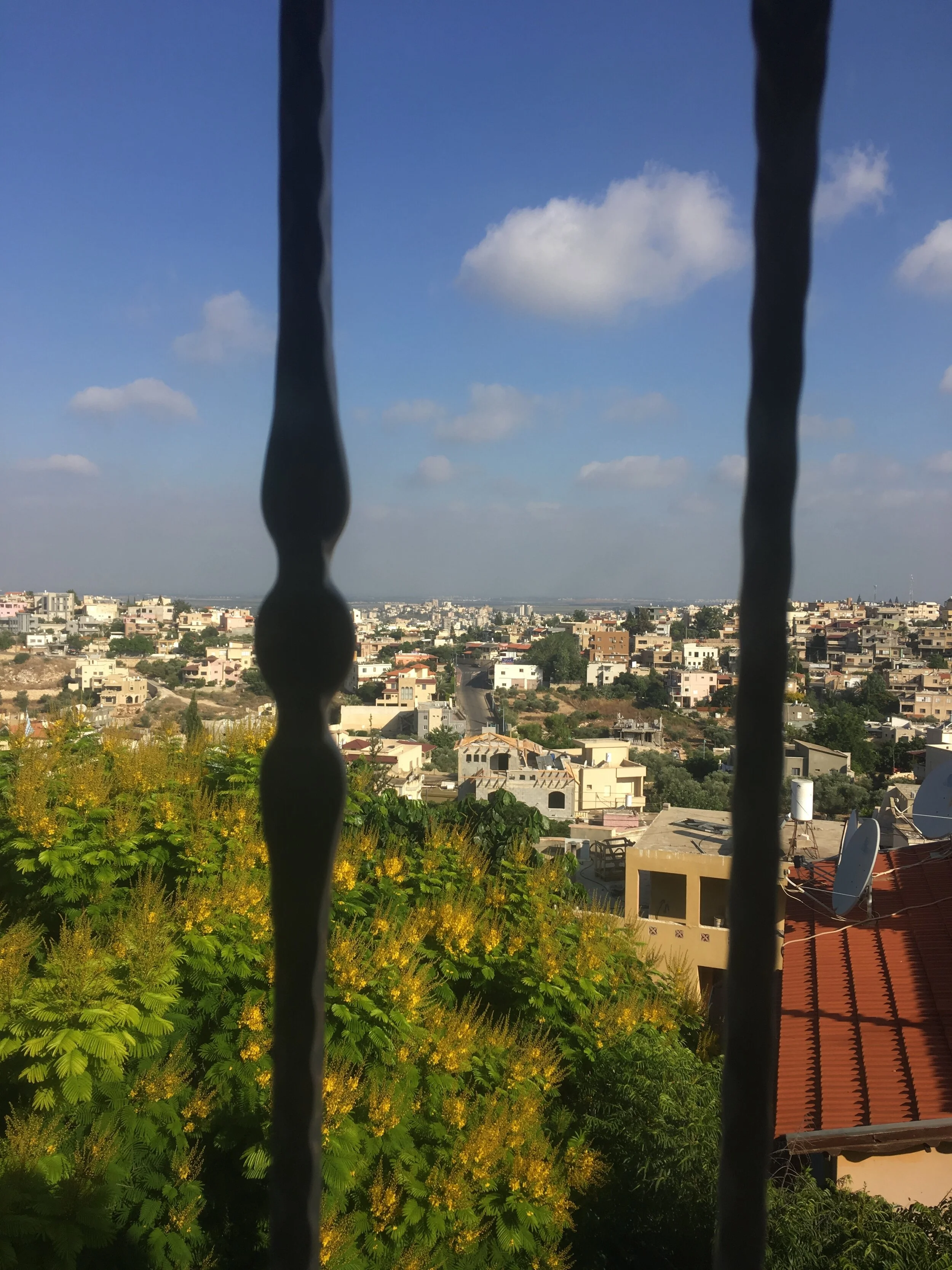 IMG_0869.jpeg