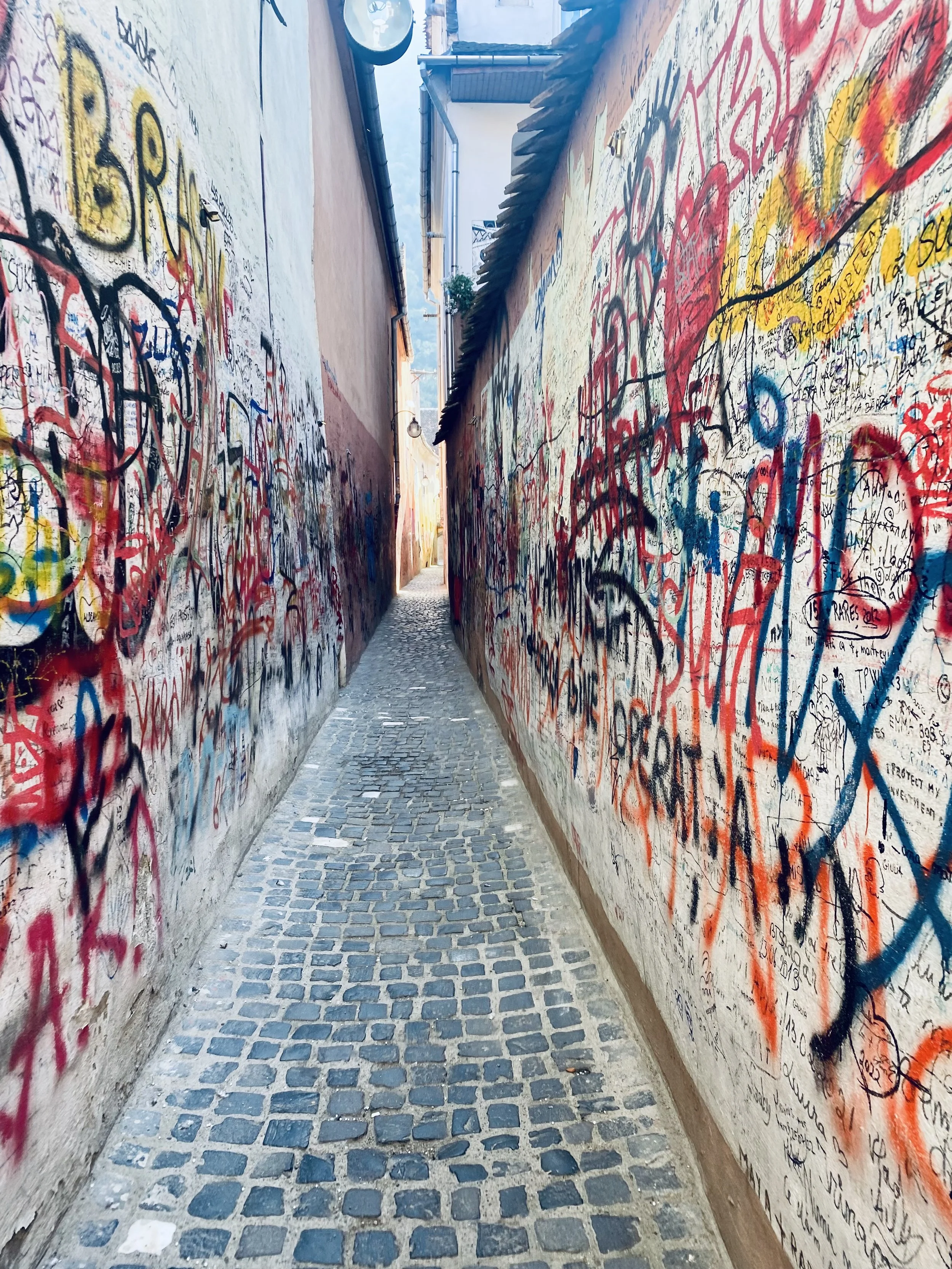 IMG_3632.jpeg