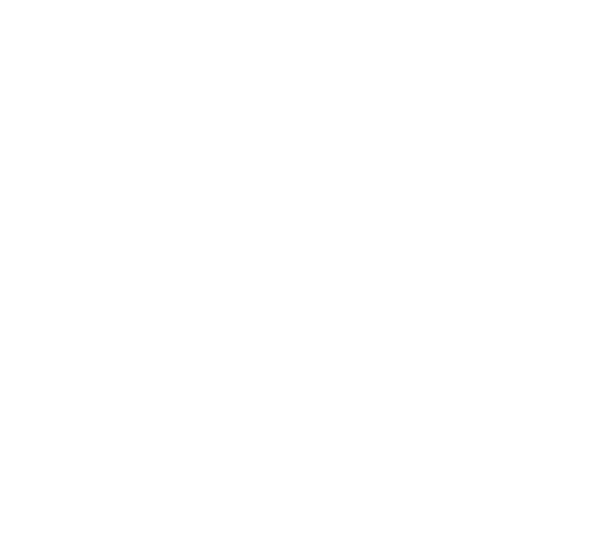 The SOLO House