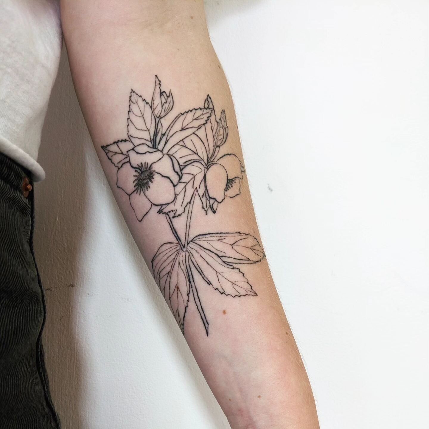 Healed Hellebore I tattooed on myself about a month ago.
#bristoltattoo #bristoltattooartist #botanicaltattoo #planttattoo #flowertattoo