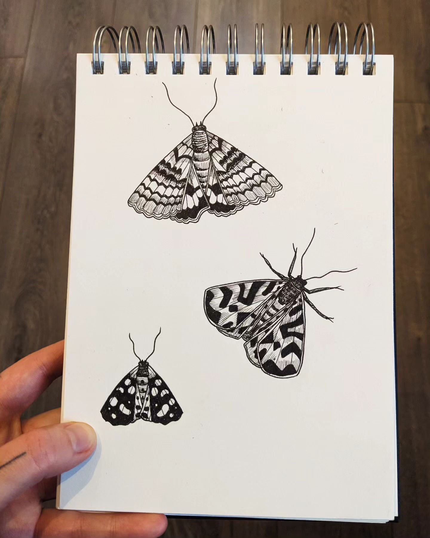 NEW FLASH! 
Someone recently told me they were keen for a moth tattoo and they inspired me to get drawing. I now can't remember who that person was but hopefully they will see this. More to come. Send suggestions of flash you want me to draw and il s