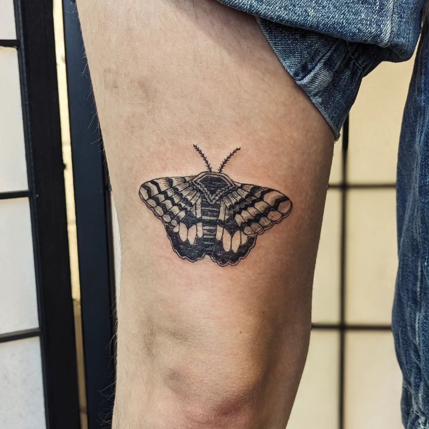 A moth for Holly, thanks so much for bringing this one to me. #bristoltattooartist #bristoltattoo #mothtattoo #legtattoo #blacklinetattoo