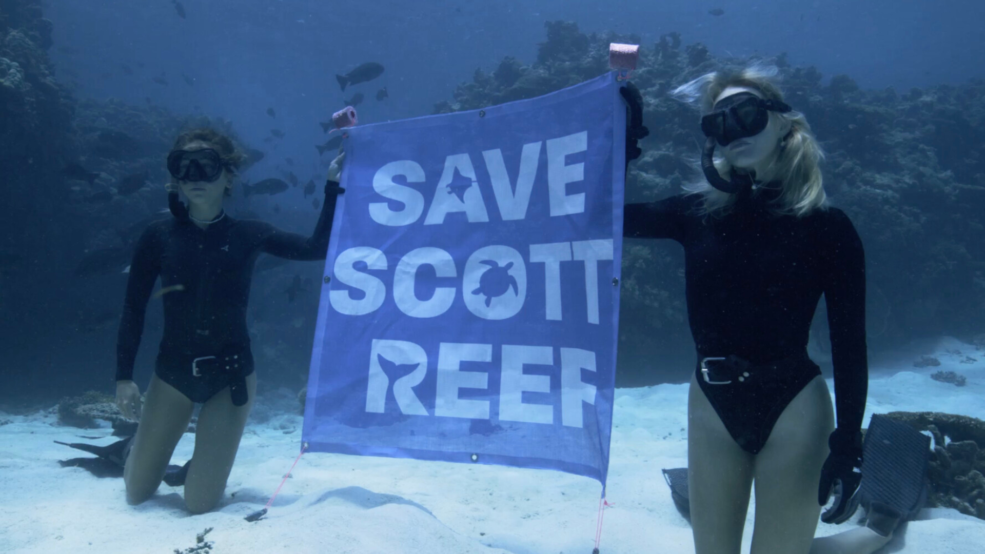 Corals’ Last Stand