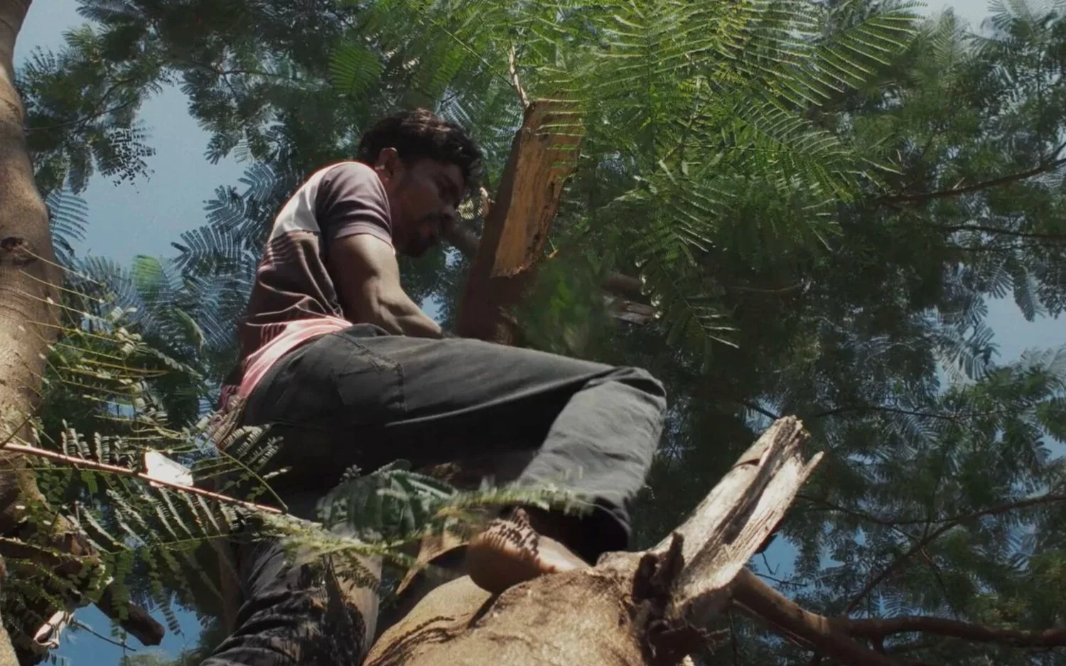 Screenshot_2022-12-30_at_11.23.06_am - Febe De Geest.jpg