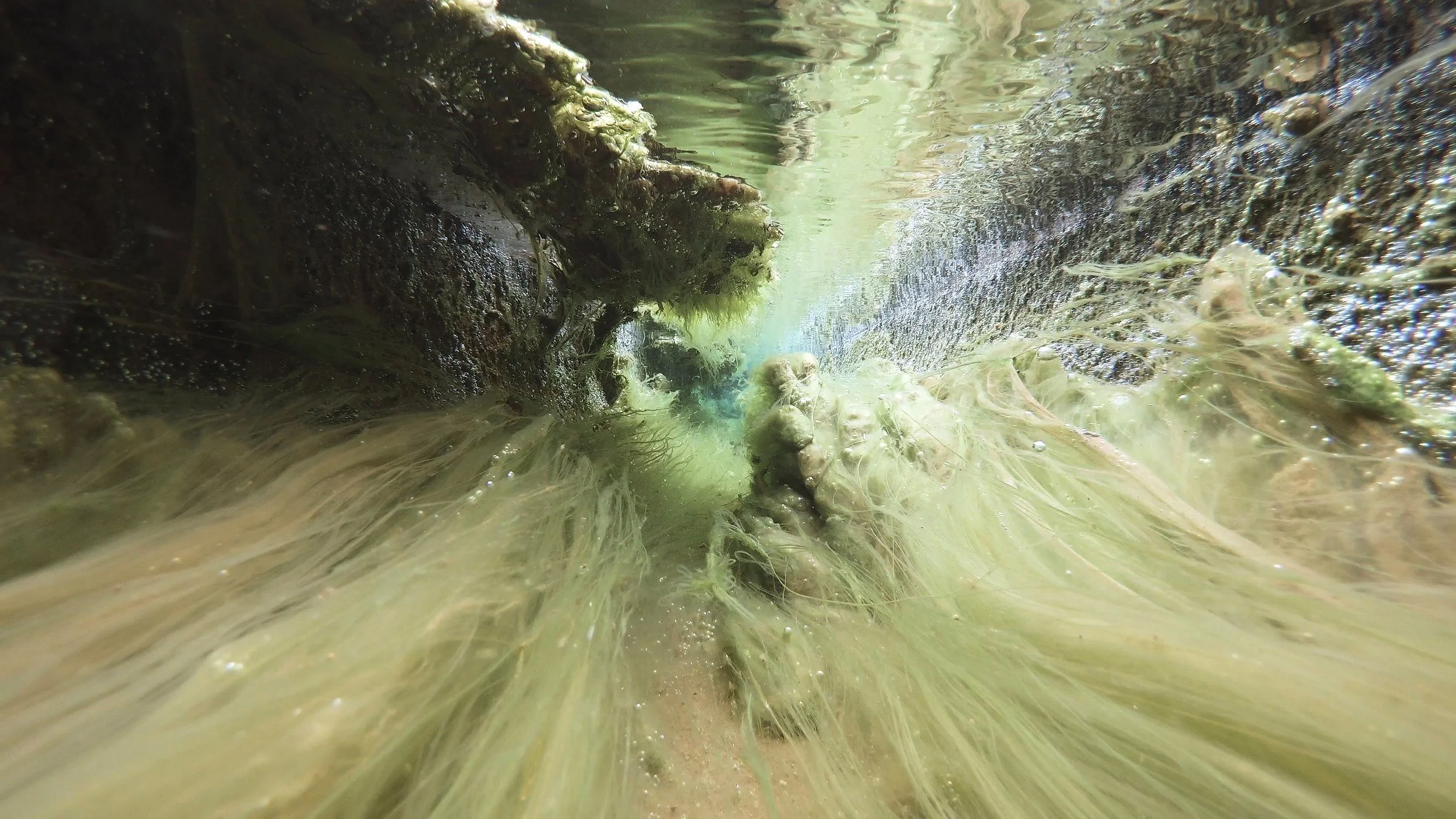 the_stream_VIII _hiroya_sakurai - 櫻井宏哉.jpg