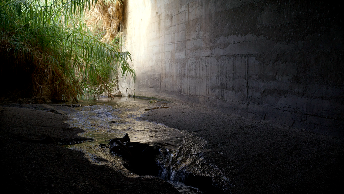 Sun 25 Oct Gardens of Fez