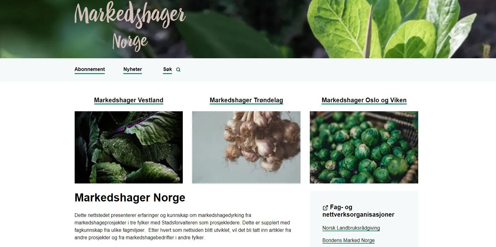 Ny nettside for markedshager i Norge