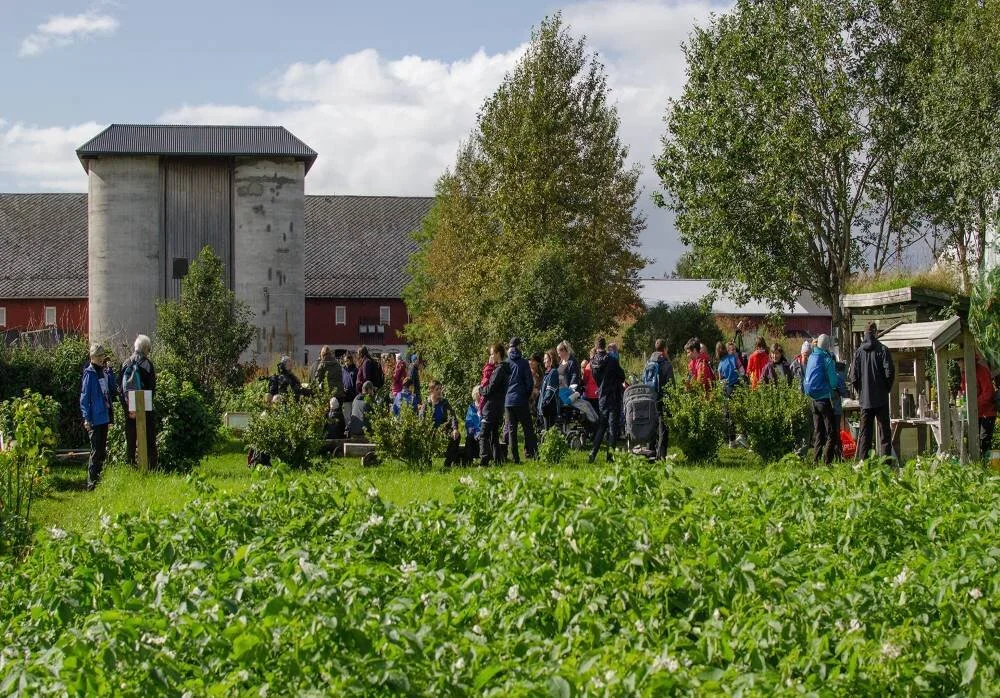 Åpen dag i Bodø økologiske besøkshage 2.jpg