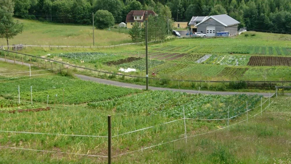 De Haes Gartneri: Med blikk på det urbane landbruk