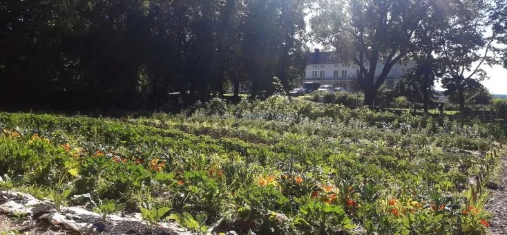 Sesongåpning på Linderud Gård