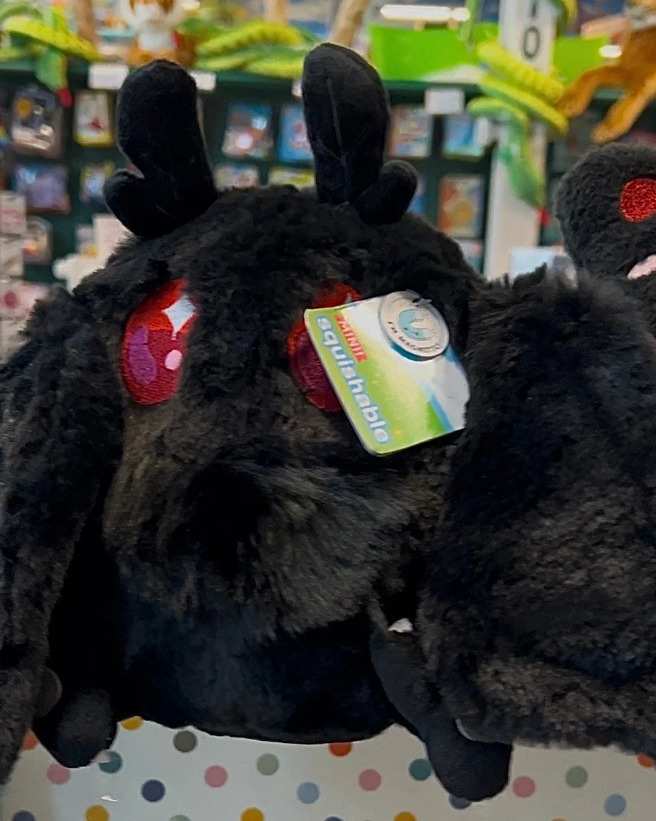 Grab a little something extra special for your little ghouls for Halloween!
#phillipstoymart #nashvillestoystore #toystore #kidstoys #toys #halloween