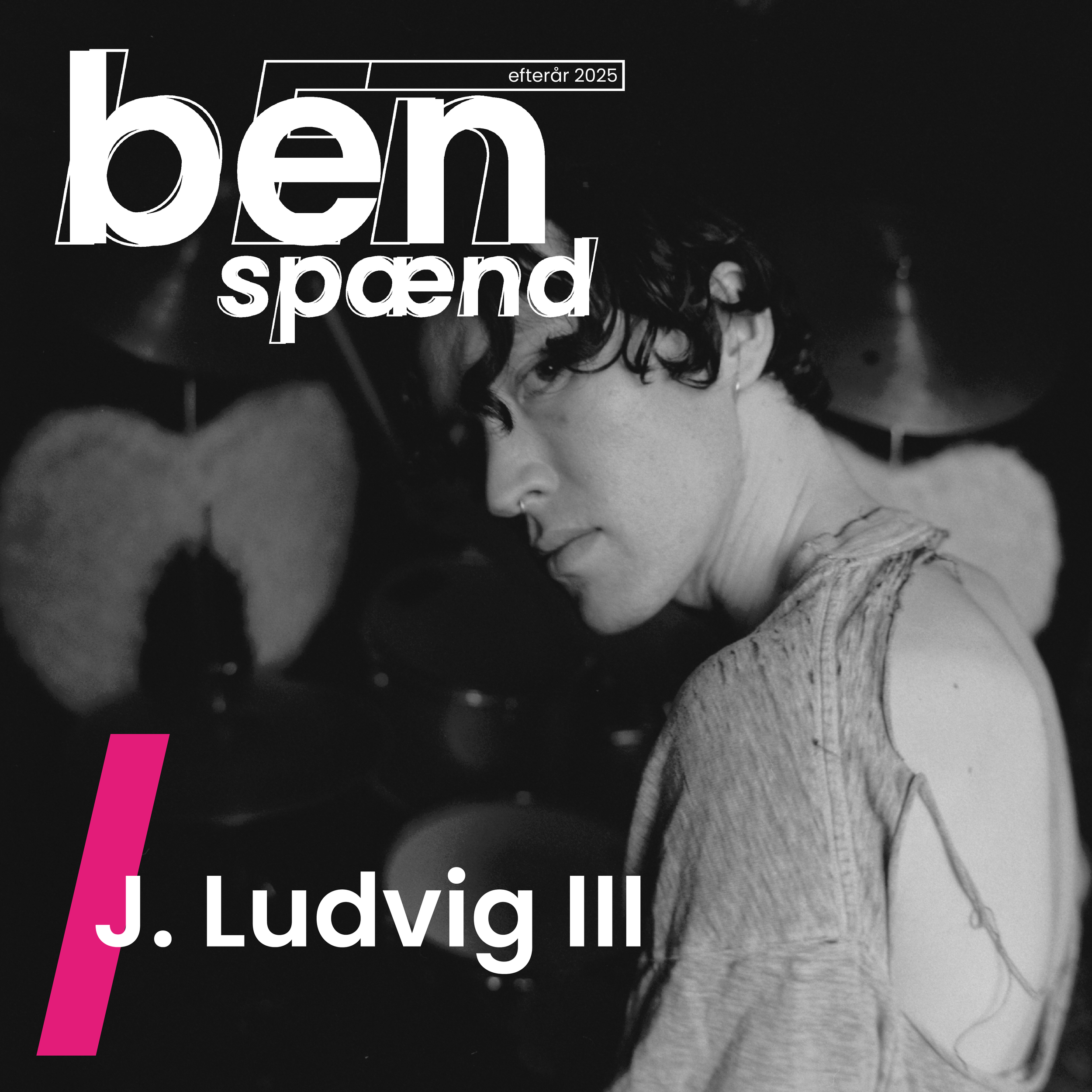 benspænd some efterår25_jludvigIII5.png