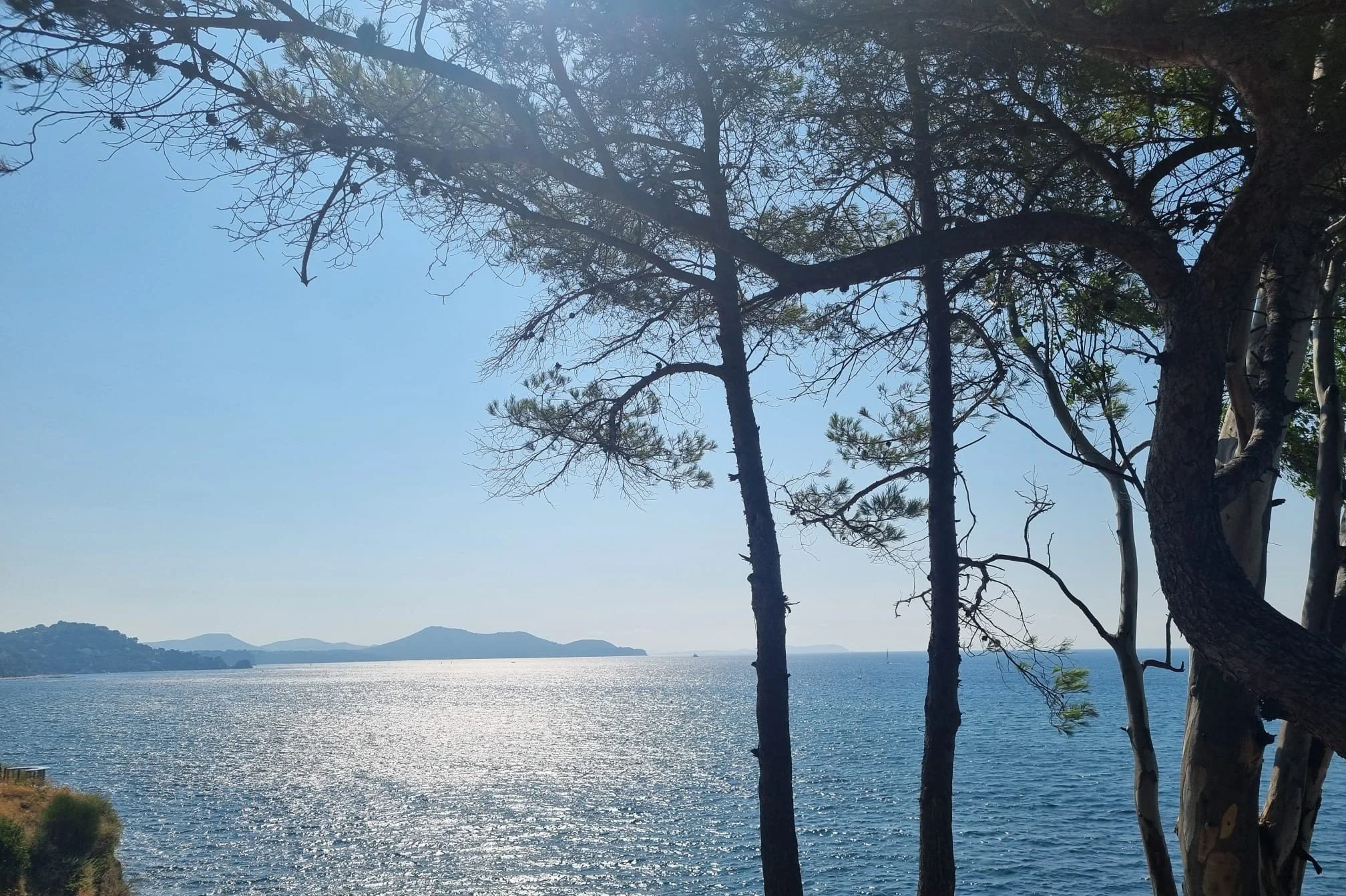 Depuis mi-juillet, j’ai regagné le Sud-Est et ma ville natale Toulon ☀️