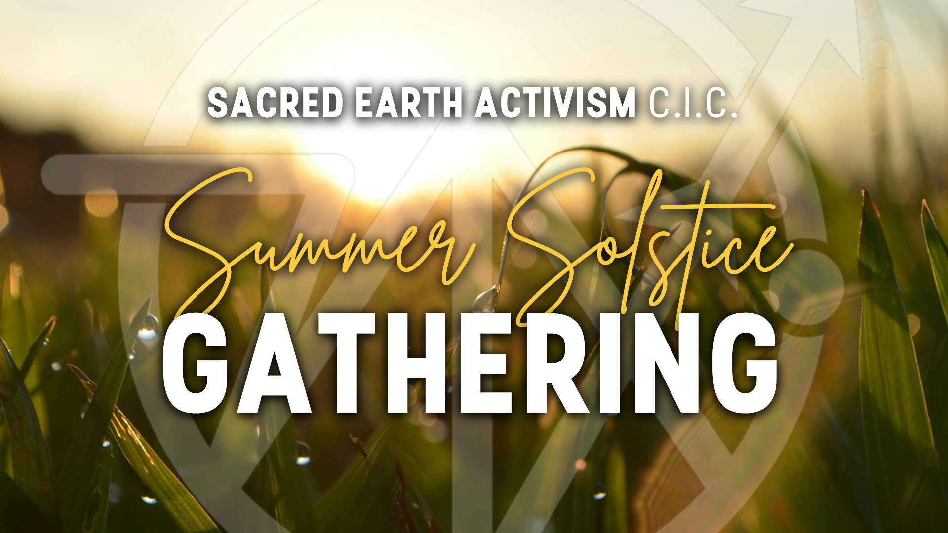 Summer Solstice Gathering