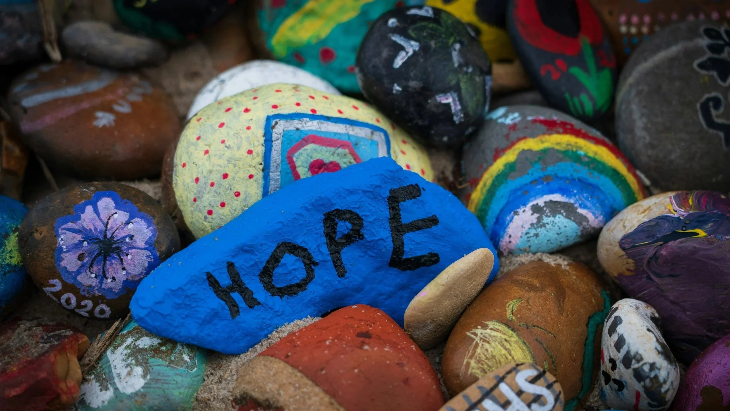 From climate despair to Active Hope