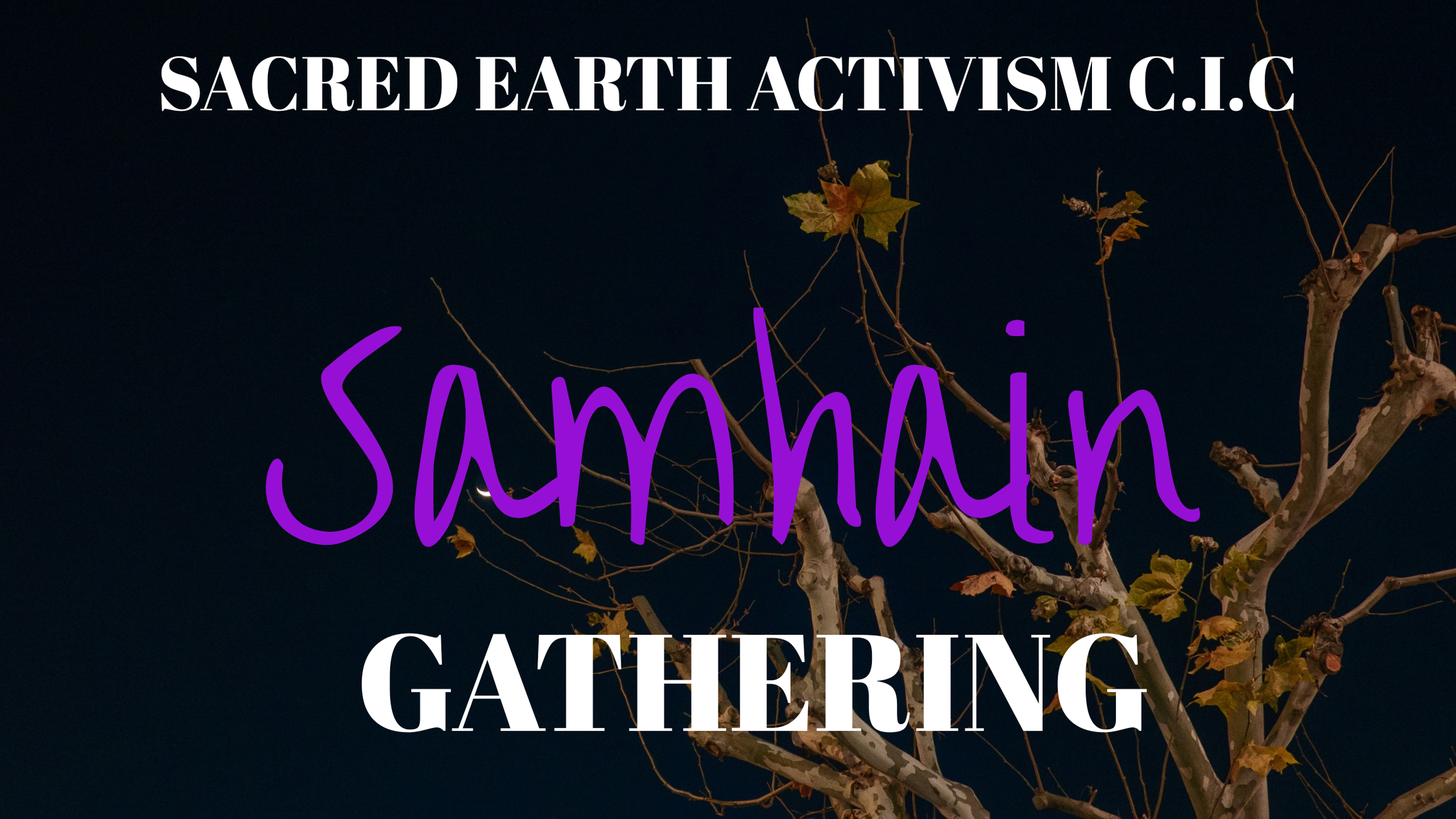 Samhain Gathering 