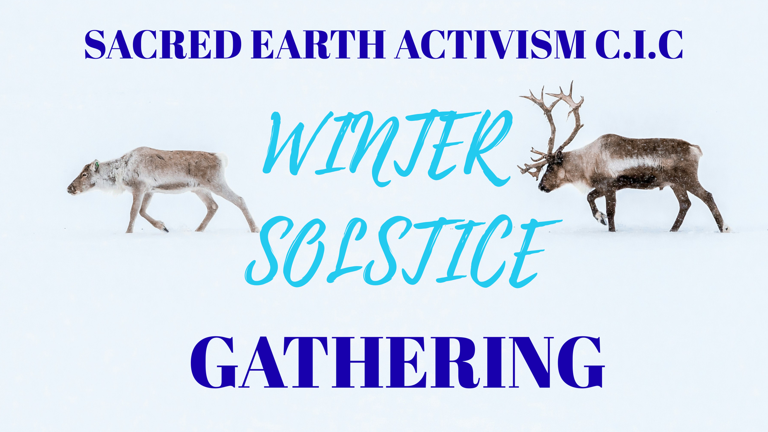 Winter Solstice Gathering 