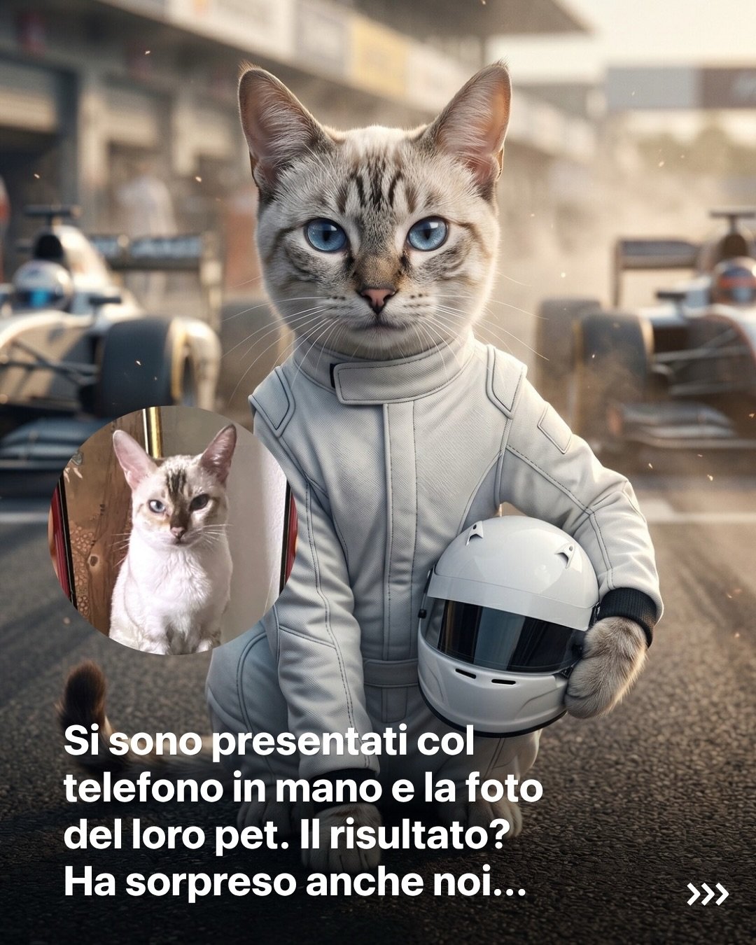 Una delle cose pi&ugrave; belle del nostro lavoro? Quando sono gli ospiti a sorprendere noi.

Ad un evento EY &egrave; successo questo: alcuni si sono presentati al photo booth AI col telefono in mano, mostrando la foto del loro pet. Un gatto, un can