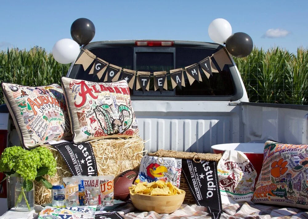 catstudio collegiate pillows