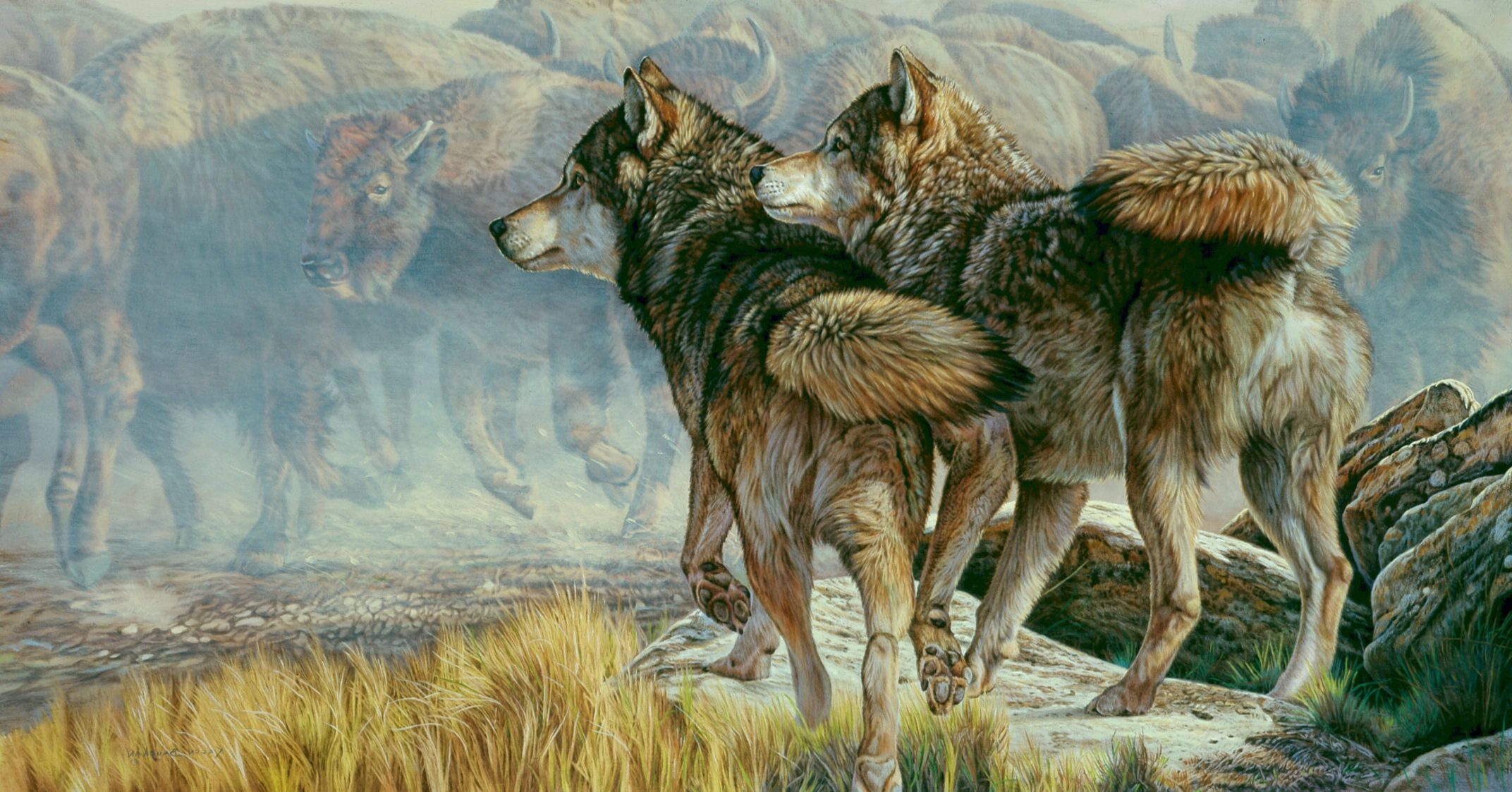 wolves_001_adj_levels.jpg