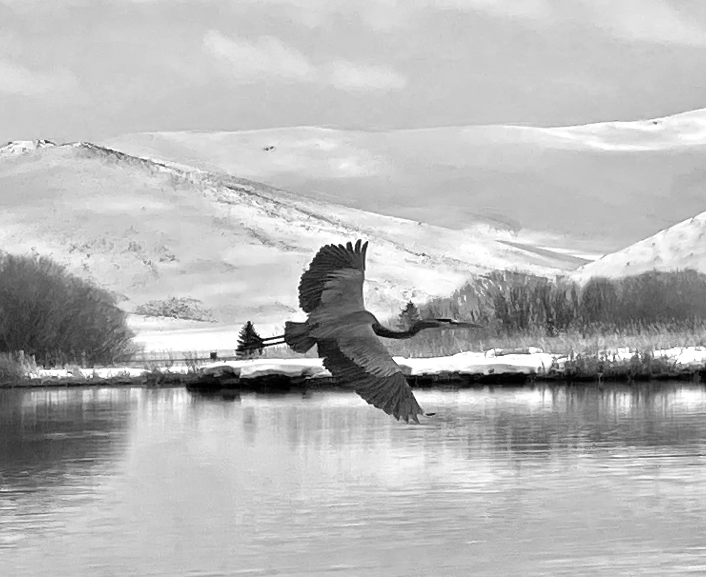 Soar