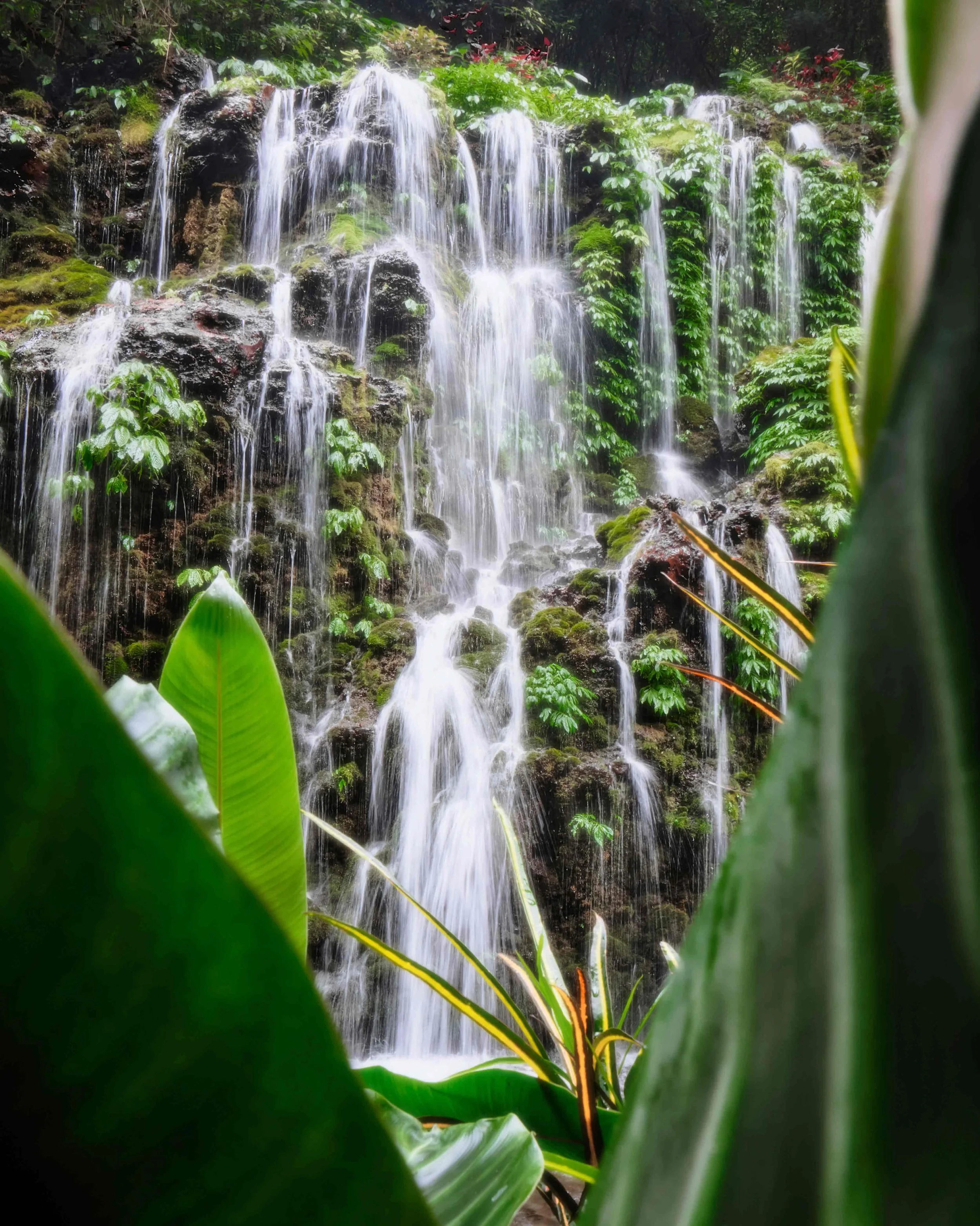 Nature