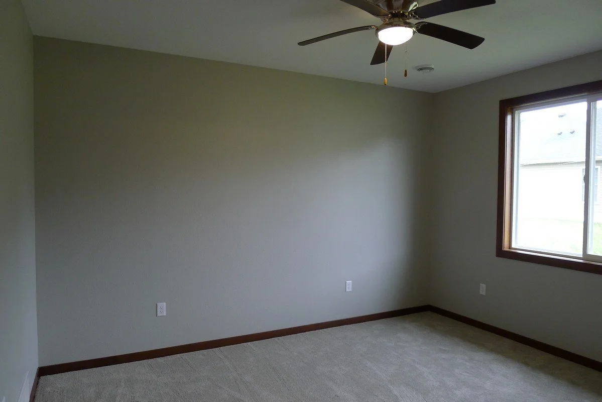 Empty room with beige carpet, light green walls, a ceiling fan with a light, a window with wooden trim, and electrical outlets.