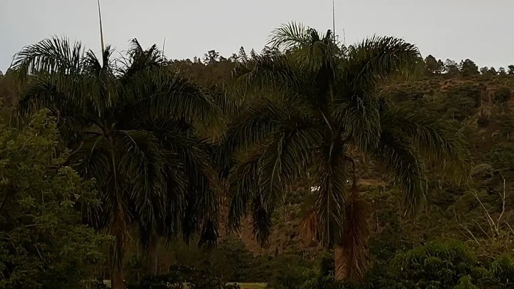 🇩🇴🇩🇴🇩🇴