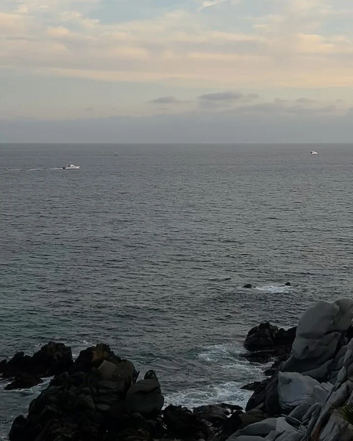 🐚🌊🐚🌊🐚🌊