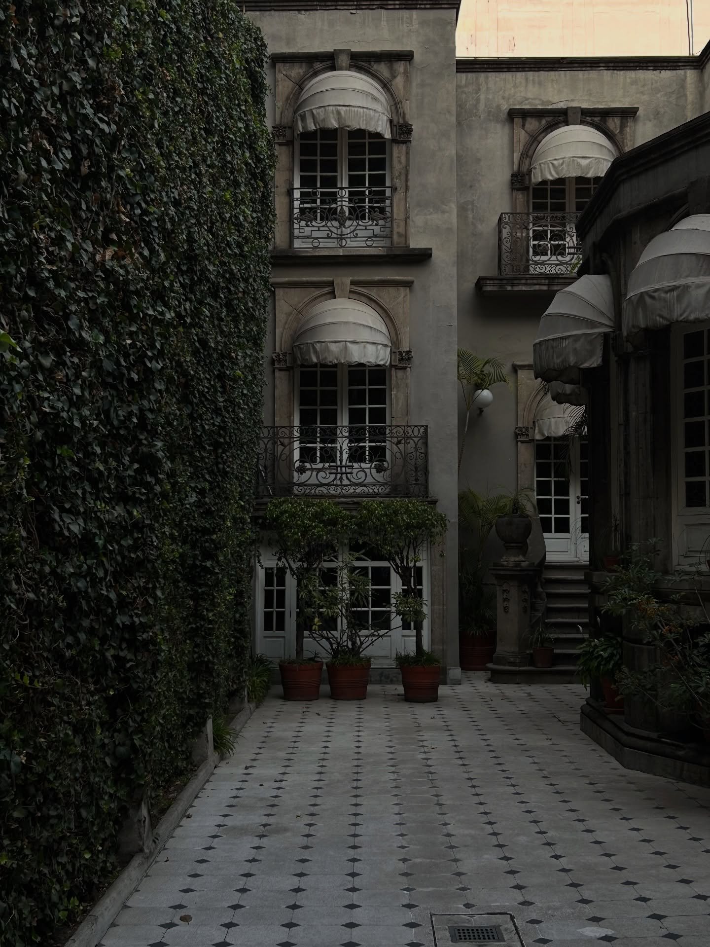 CDMX fotos from 2024 that never made it on my feed until now 🫶🏼