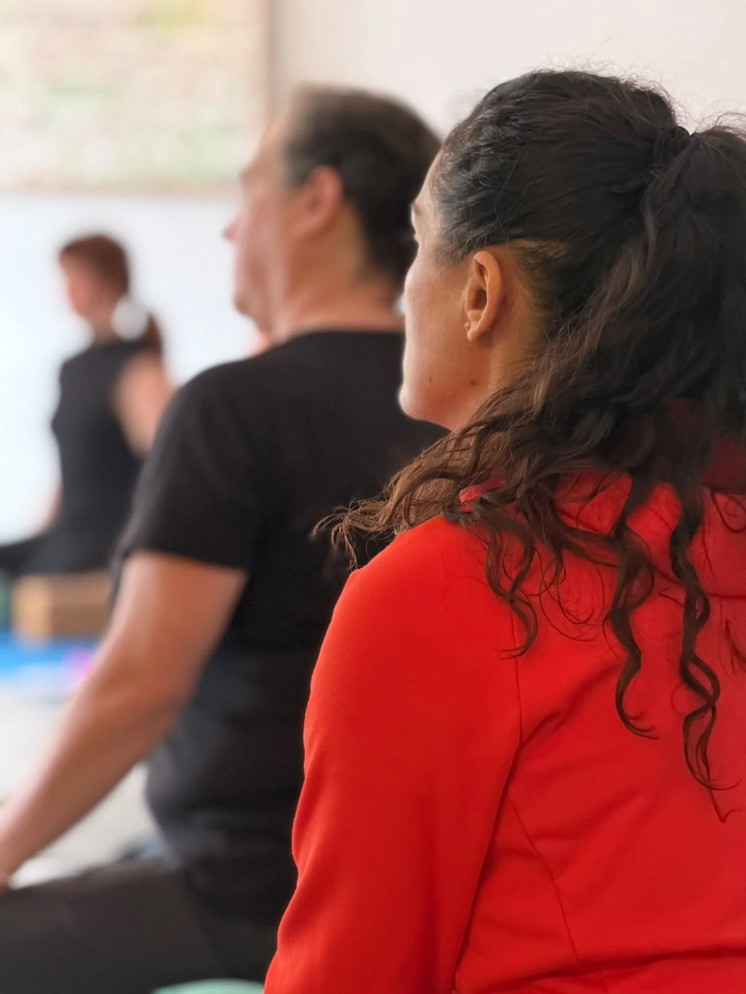 200hr Ashtanga Vinyasa Yoga teacher training course