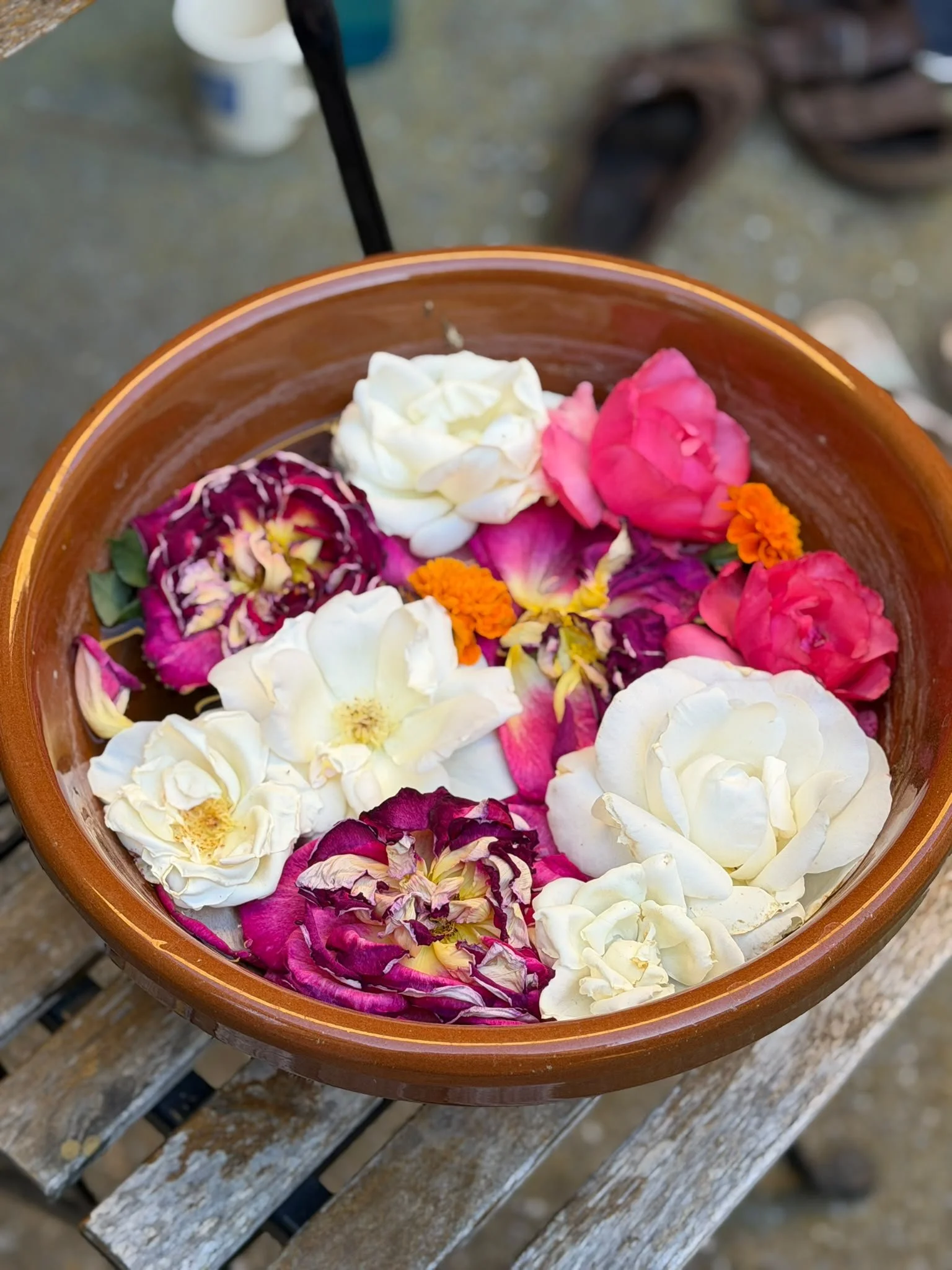 A brown clay bowl filled with white, pink, purple, and orange flower petals.