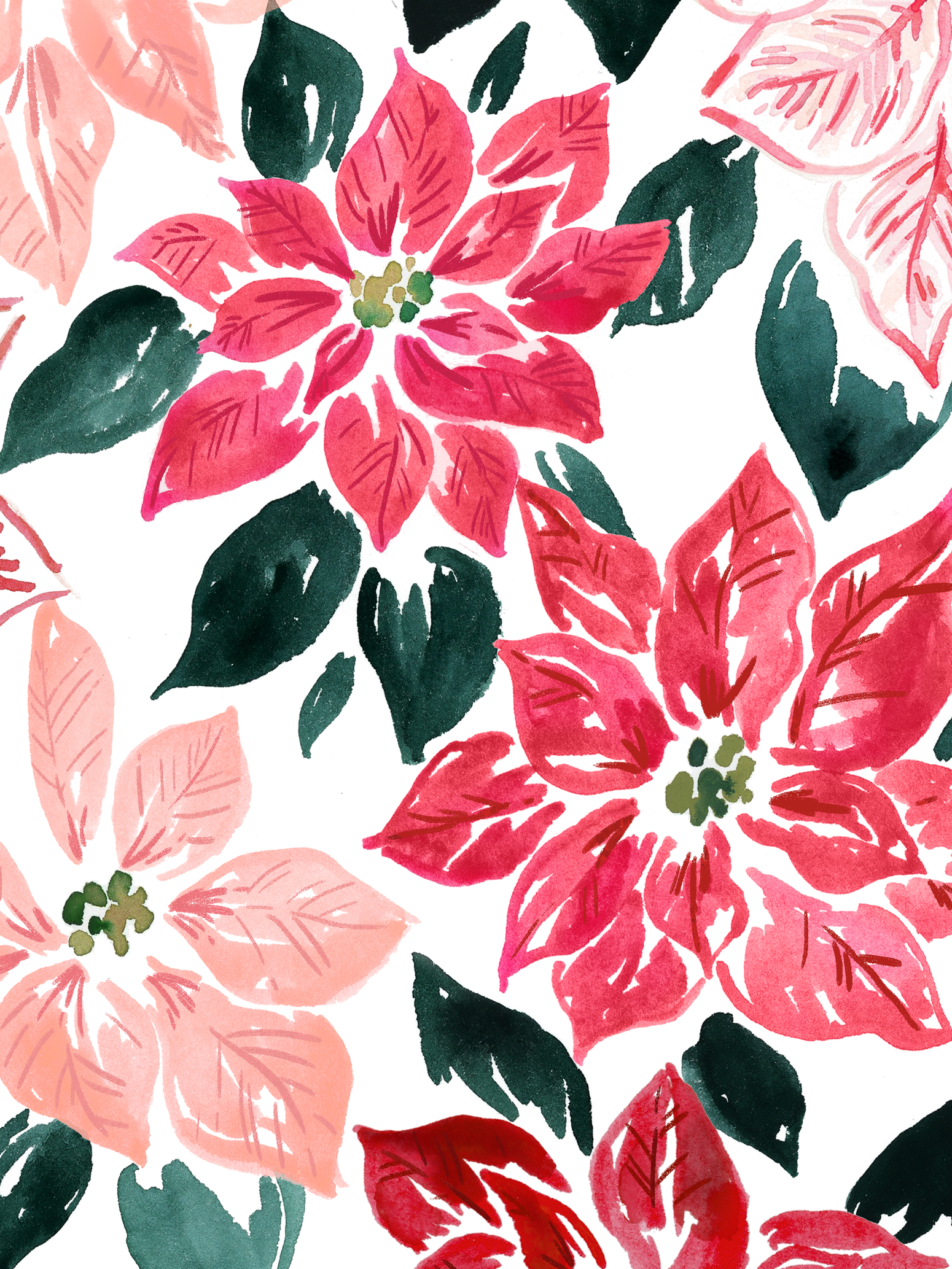 poinsettia34.png