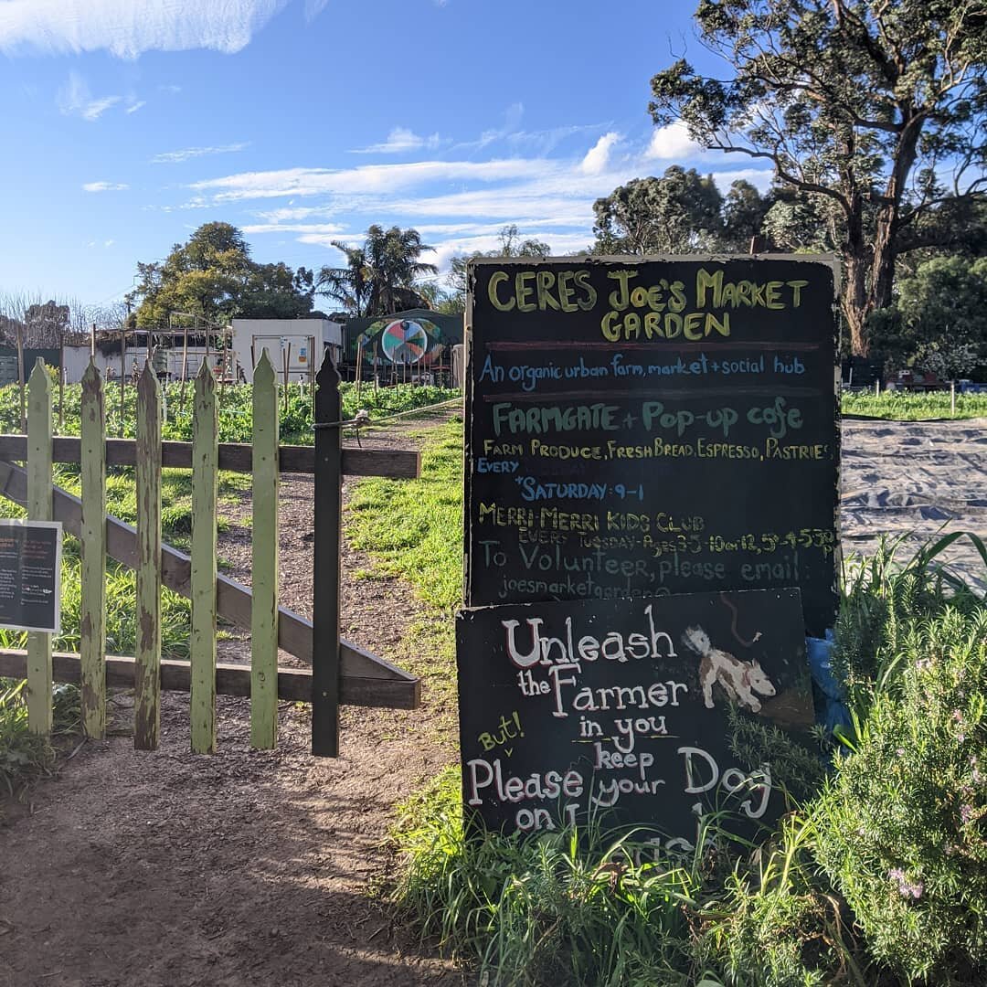 On a bike ride up the Merri Creek we come across this lovely big sign to @ceresjoesmarketgarden - a wonderful two acre inner-city organic market garden. We're told that in sunflower season (coming up soon) the garden looks even more stunning! 

So wh